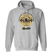 ALL-4-FUN 2022 2-sided print Z66x Pullover Hoodie