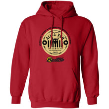 ALL-4-FUN 2022 2-sided print Z66x Pullover Hoodie