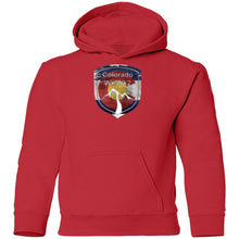 Colorado WKs G185B Gildan Youth Pullover Hoodie