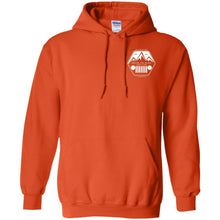 ASJC 2-sided print with Freedom flag on back G185 Gildan Pullover Hoodie 8 oz.