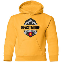 Beastmode G185B Gildan Youth Pullover Hoodie