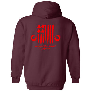 ASJC 2-sided print with Freedom flag on back G185 Gildan Pullover Hoodie 8 oz.